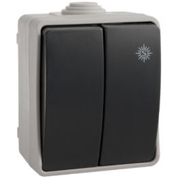 DOBLE CONMUTADOR SUP/ESTANCO IP44 10A SOLERA