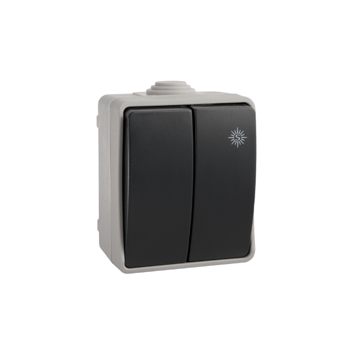 DOBLE CONMUTADOR SUP/ESTANCO IP44 10A SOLERA